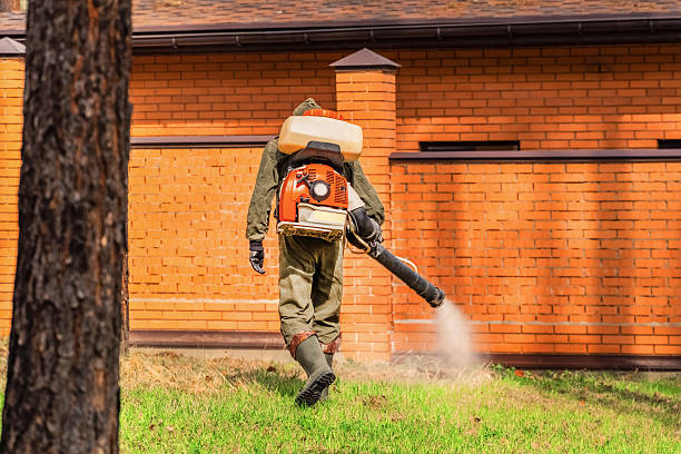 Trusted Cockroach Control service in Eldridge, IA - Nex Pest Control